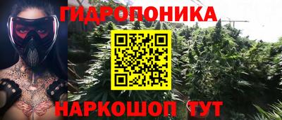 дмт Бузулук