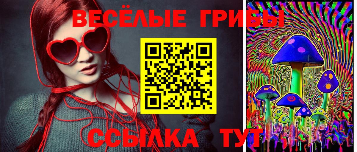 Псилоцибиновые грибы MAGIC MUSHROOMS Пушкино